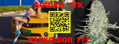 индика Новозыбков