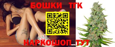 индика Новозыбков