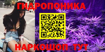 скорость Новодвинск