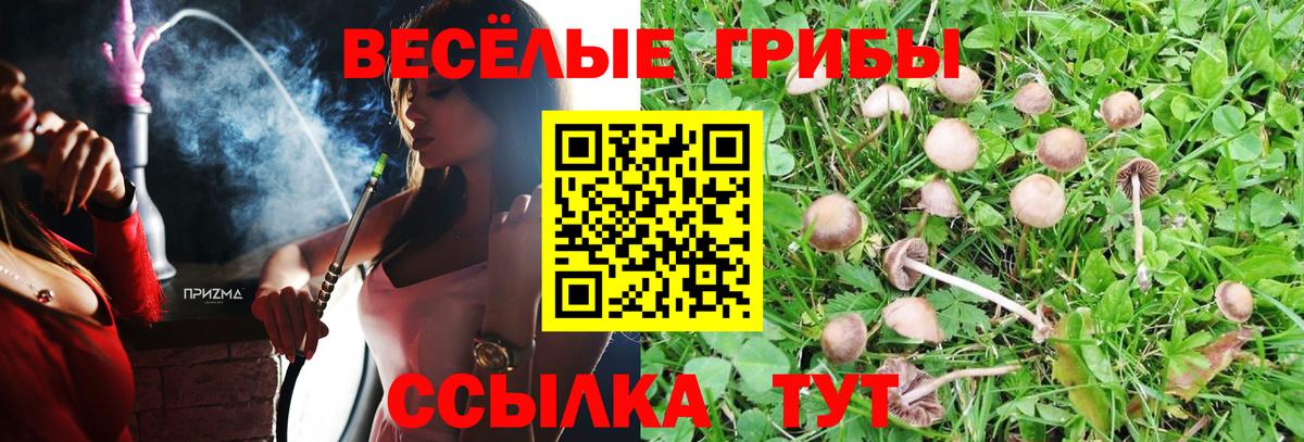 Псилоцибиновые грибы MAGIC MUSHROOMS Ханты-Мансийск